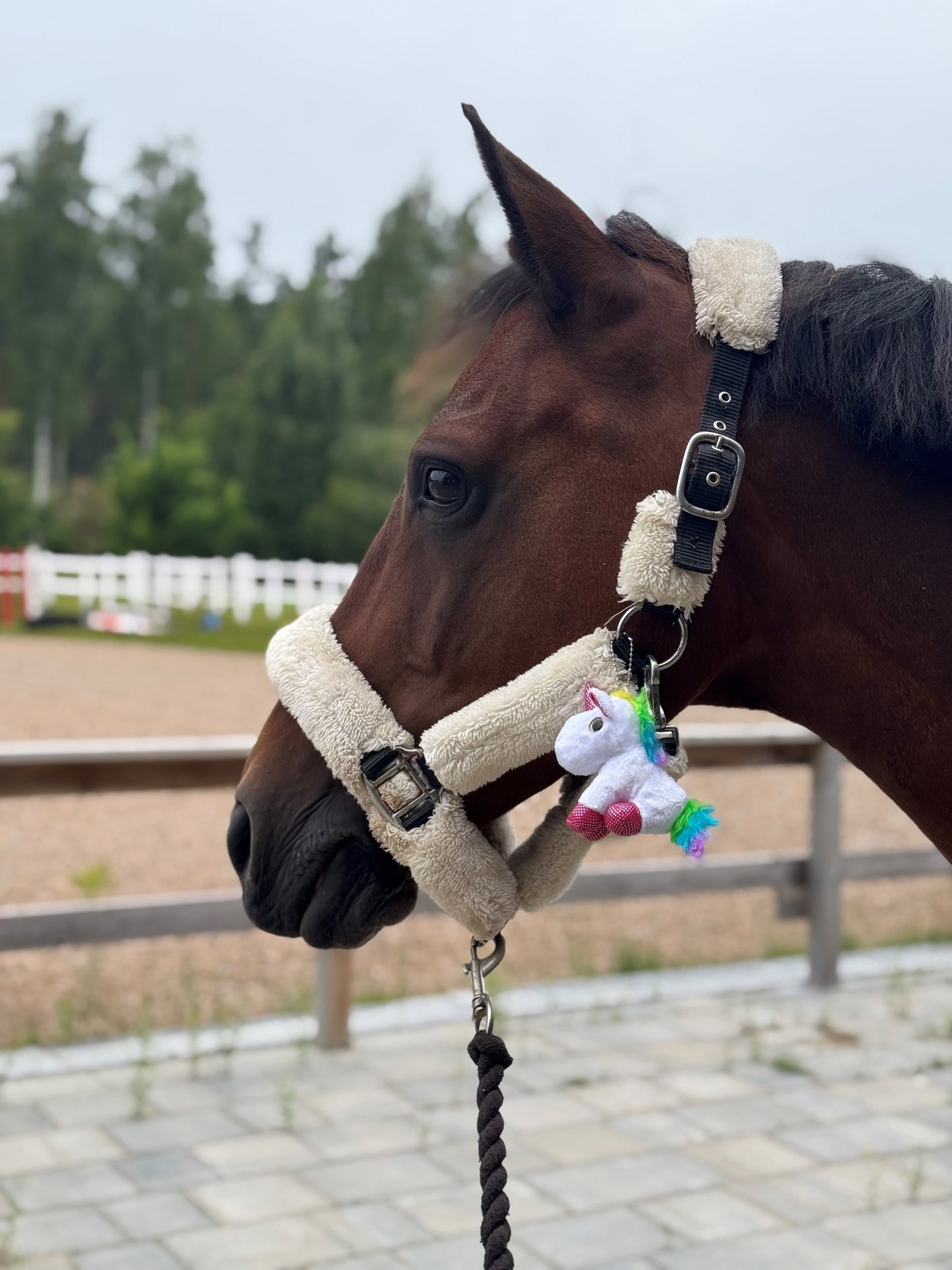 Enhörningen - Din turmaskot