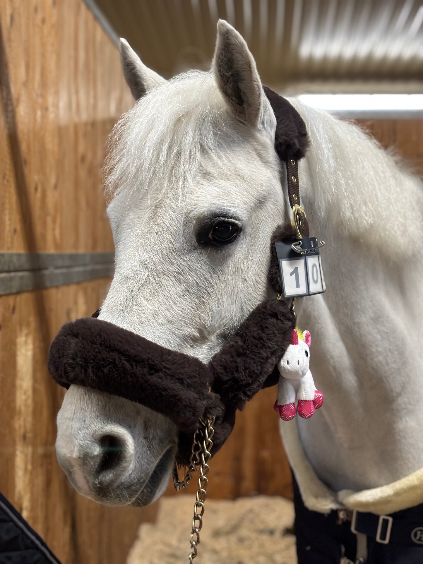 The Unicorn - Your Lucky Charm