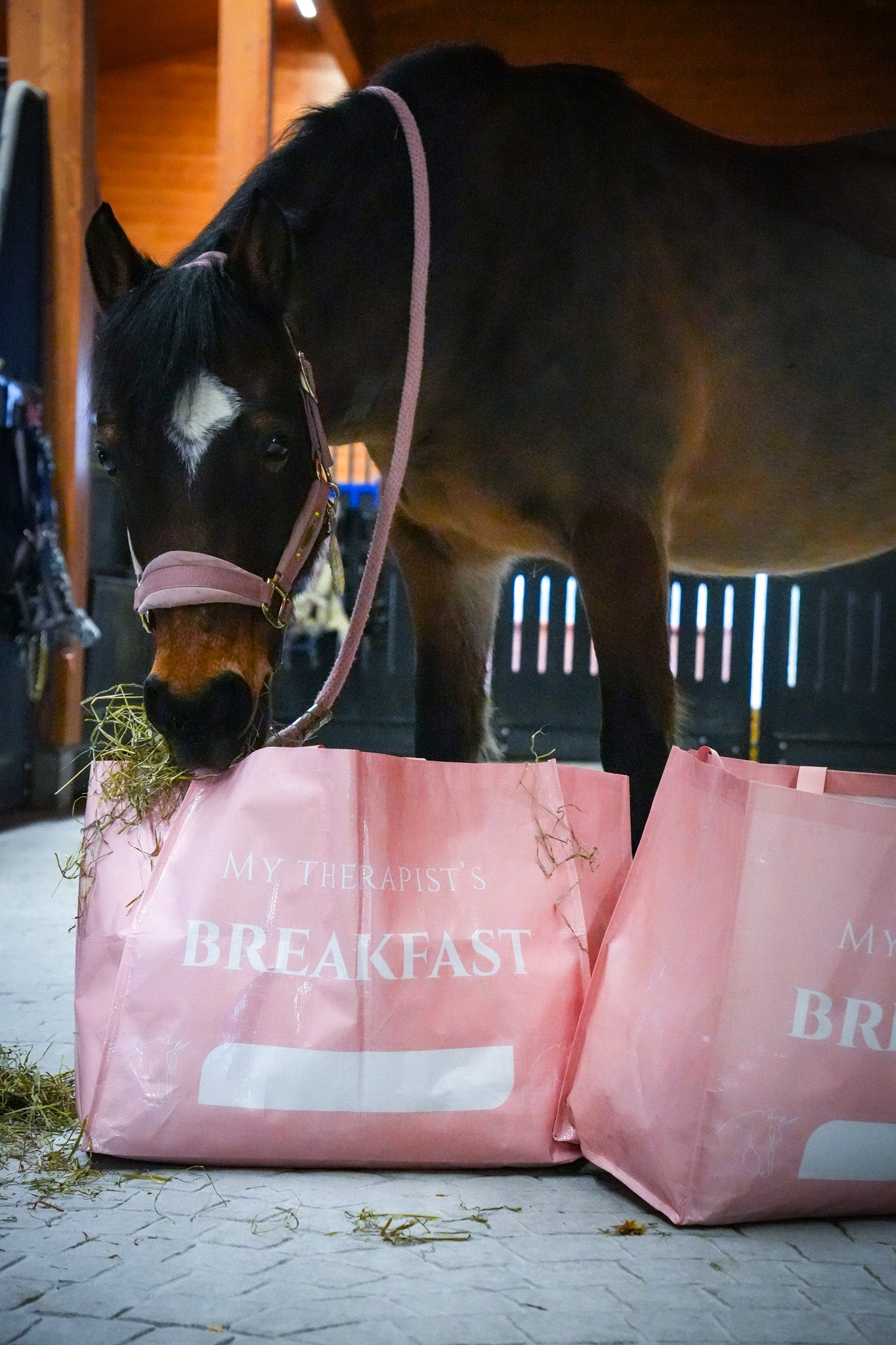 Hay bag