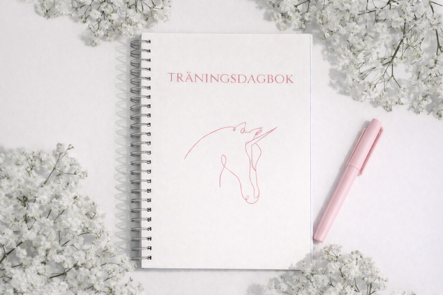 Träningsdagbok