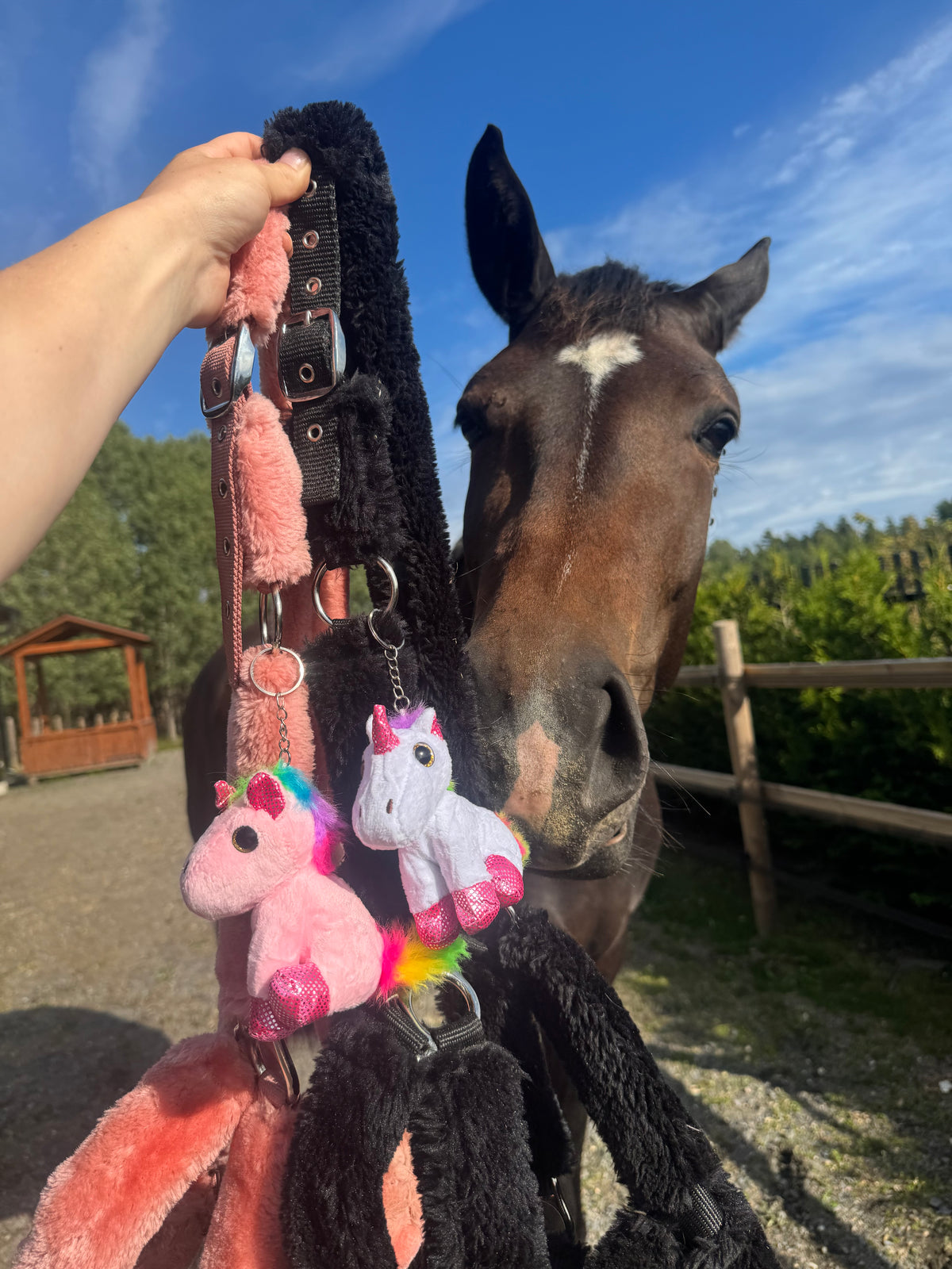 The Unicorn - Your Lucky Charm