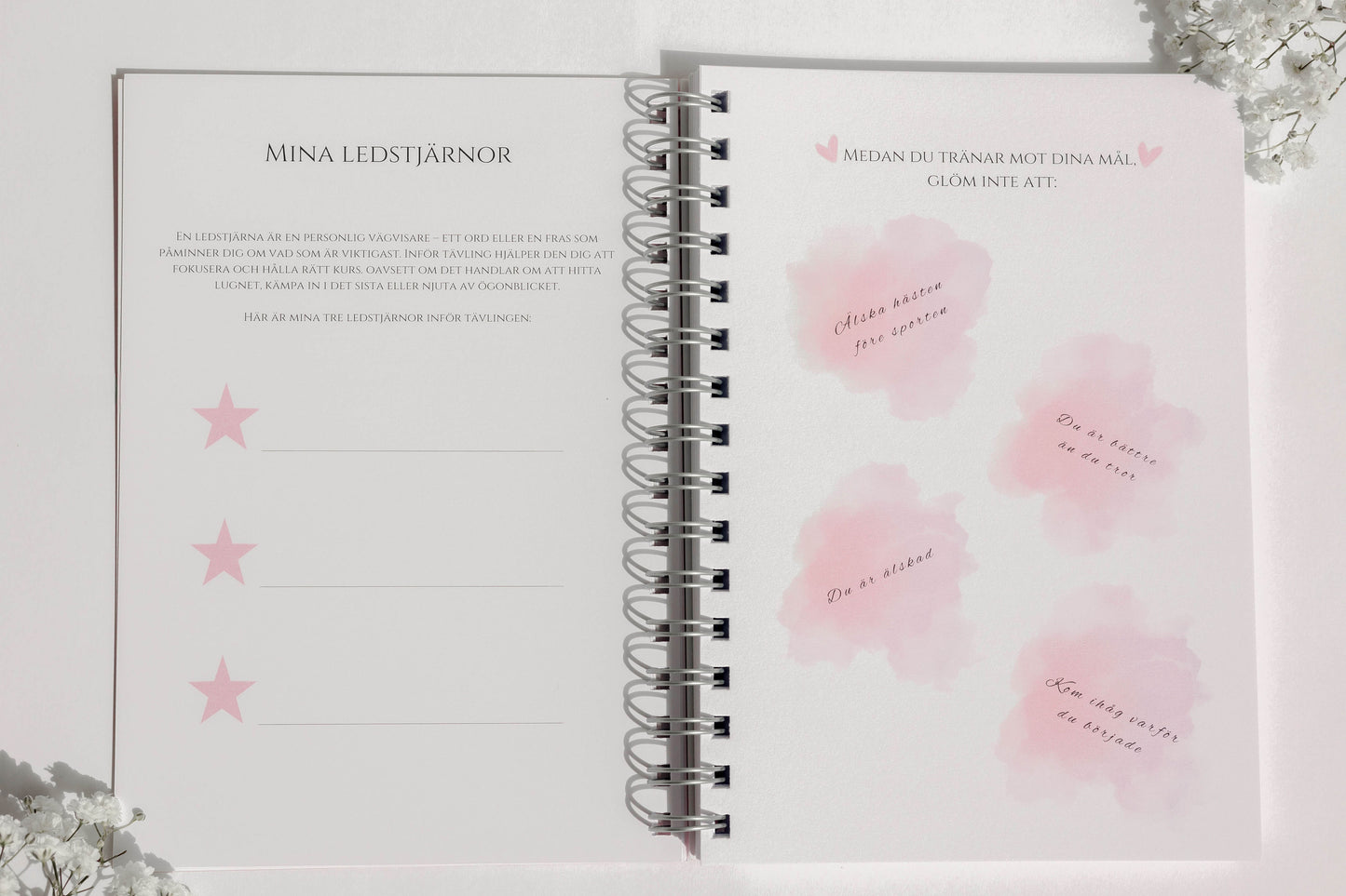 Paket - Träningsdagbok & Tävlingsdagbok